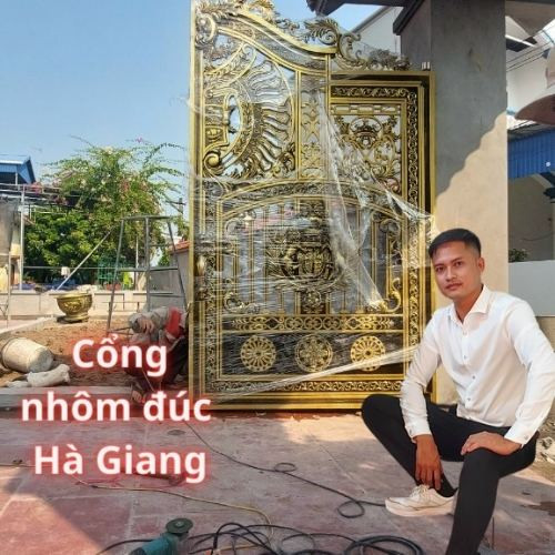 Cổng Nhôm đúc Quận Hà Giangc3